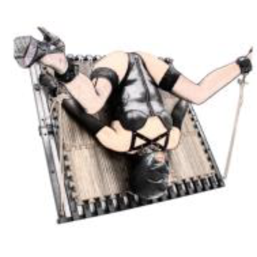 Bondage Restraint Board
