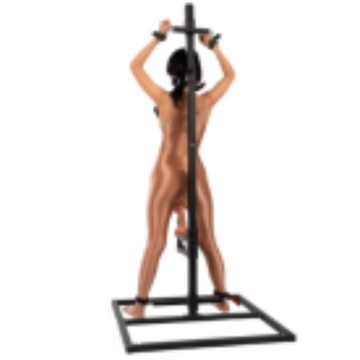Standing Slave Frame